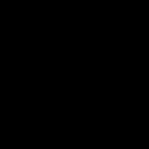 Meet your Posher, Abbey